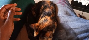 Pourquoi j'ai decidé de créer ce blog